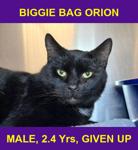 BIGGIE BAG ORION